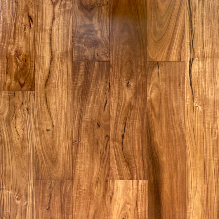 First Responsive Image