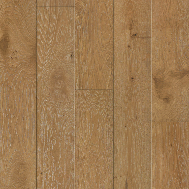 Ninth Responsive Image