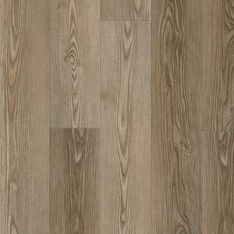 Ninth Responsive Image