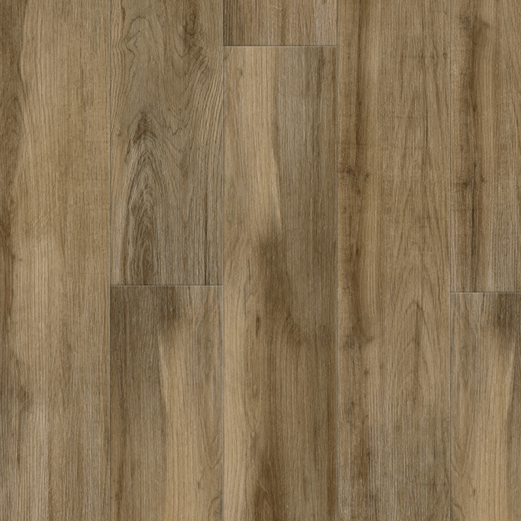 Eleventh Responsive Image