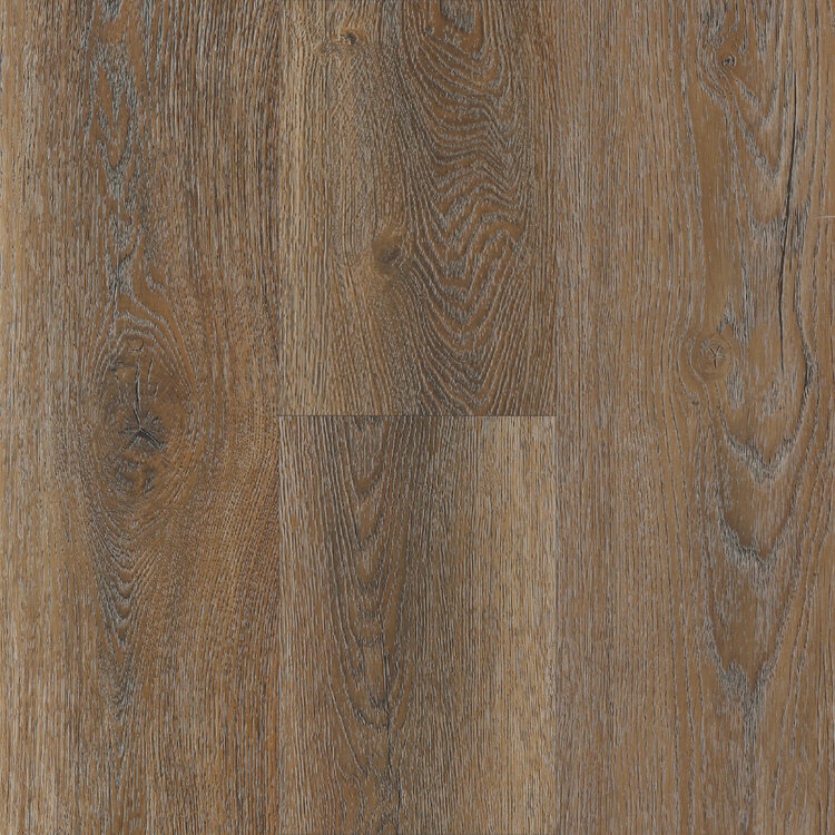Level Best Created Equal Swatch