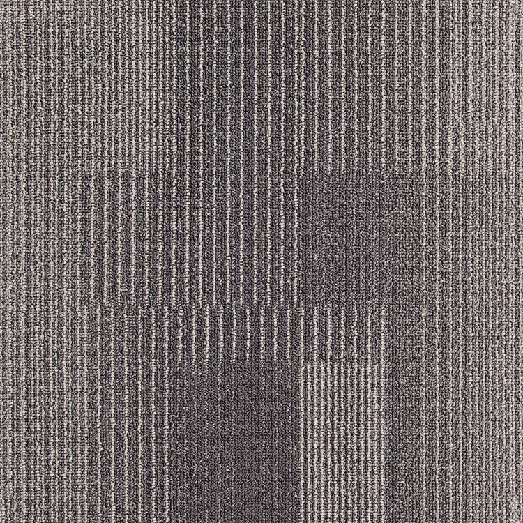 Development Gunmetal 811010 Swatch