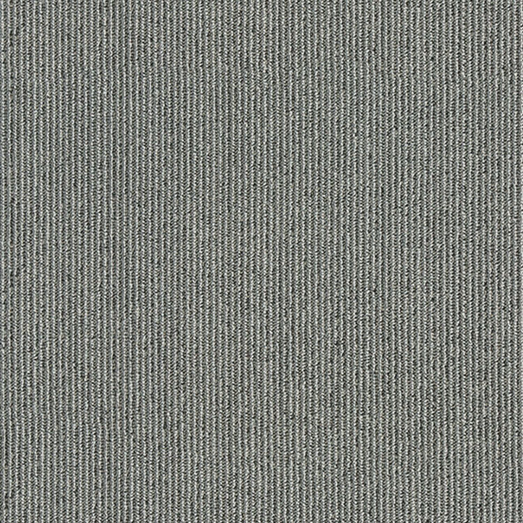 Pinstripe Silver Coin 877021 Swatch