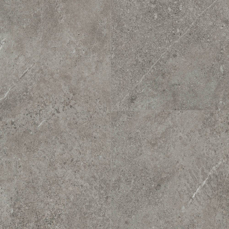 Tuscan Sandstone Fossil Swatch