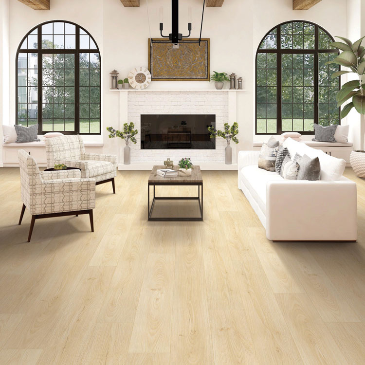 Water's Edge Collection Sand Dunes Room Scene