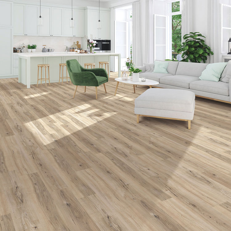 Regatta Collection Sand Room Scene
