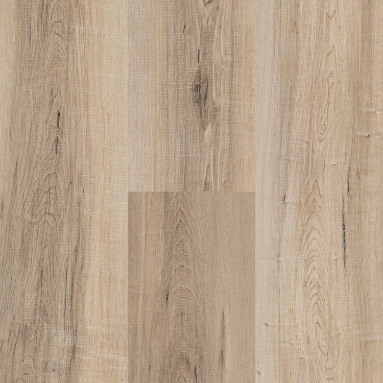 Regatta Collection Sand Swatch