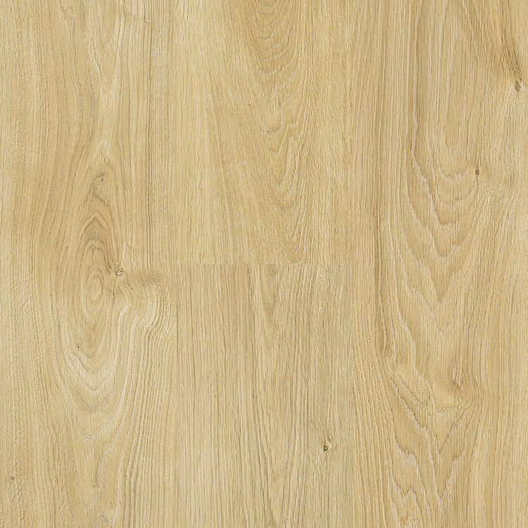 Regatta Collection Organic Oak Swatch