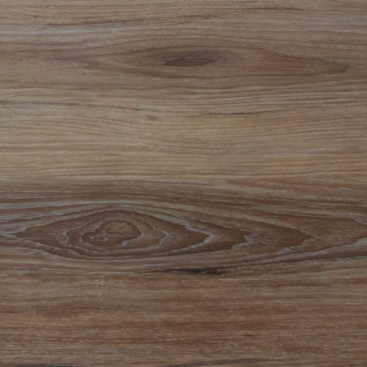 Cove Back Country Cove Swatch