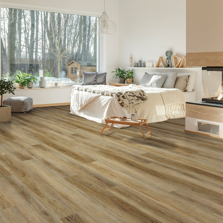 Cove Sandy Cove Room Scene