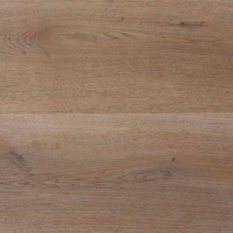 Cove Sandy Cove Swatch