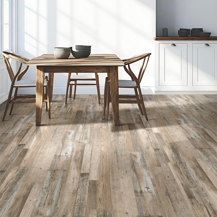 Cove Dolphin Cove Room Scene