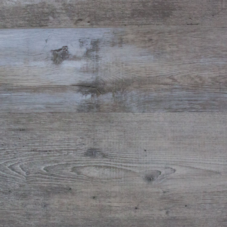 Cove Dolphin Cove Swatch