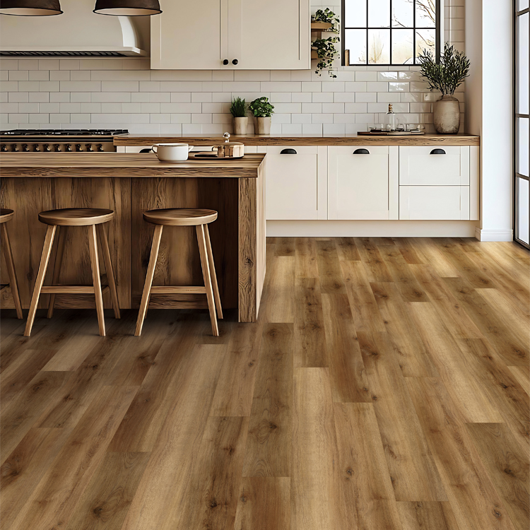 Cove Siesta Cove Room Scene