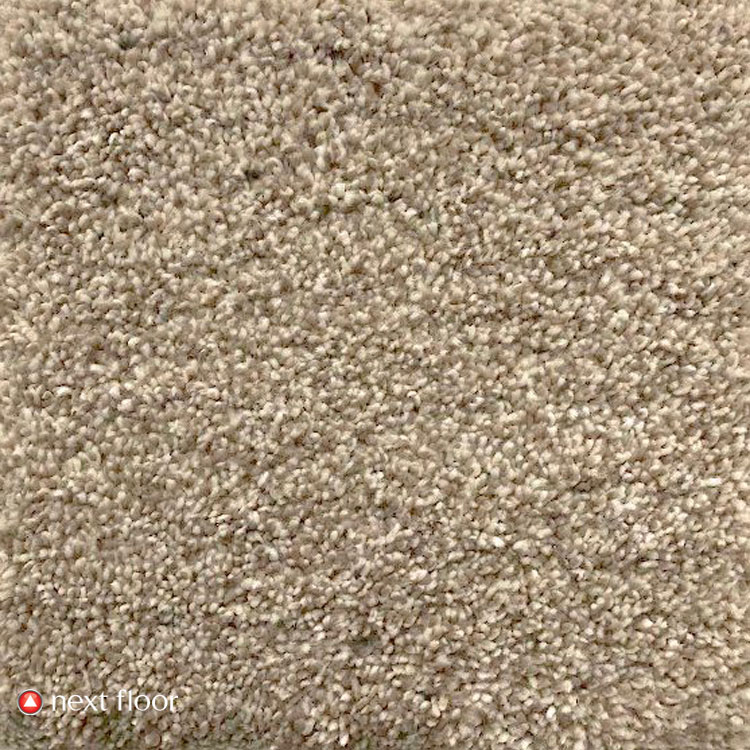 Pashmina Collection Angora
