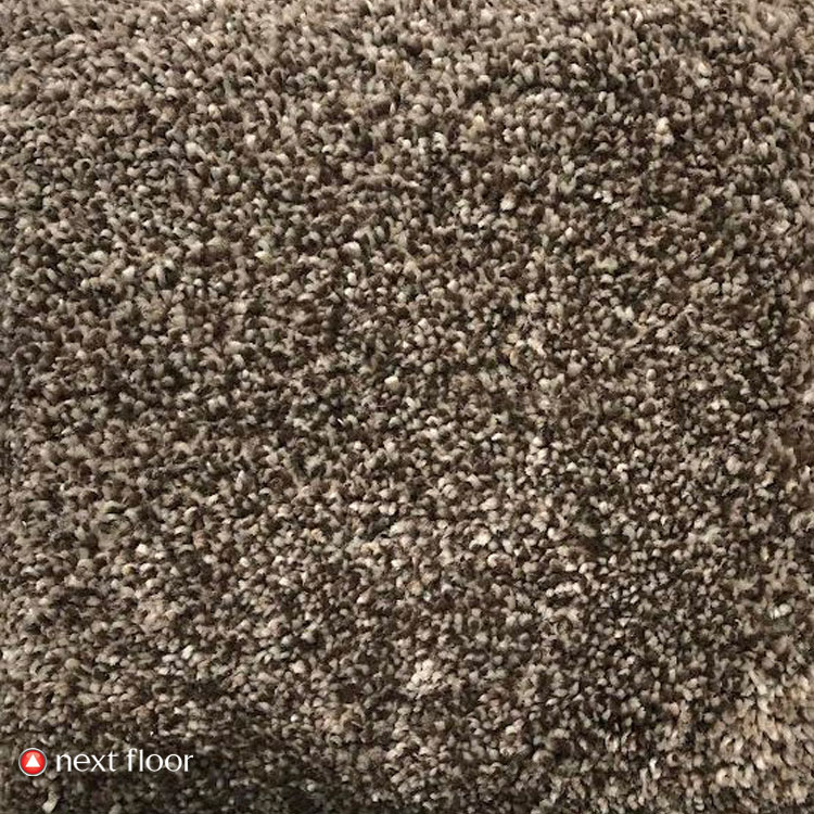 Pashmina Collection Grizzly