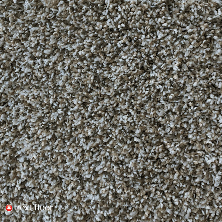 Cirrus Collection Lambkin