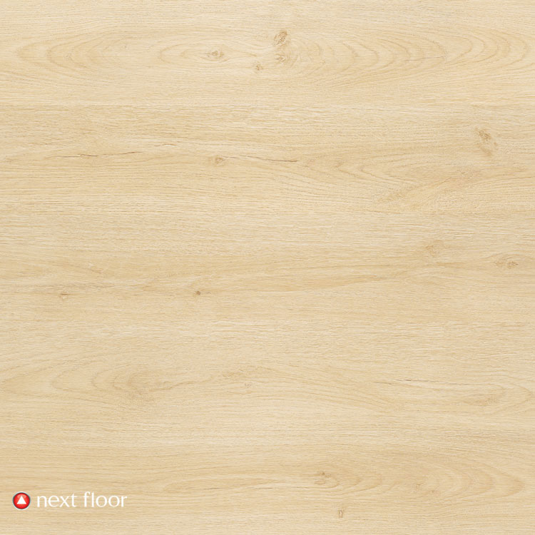 Water's Edge Collection Sand Dunes Swatch