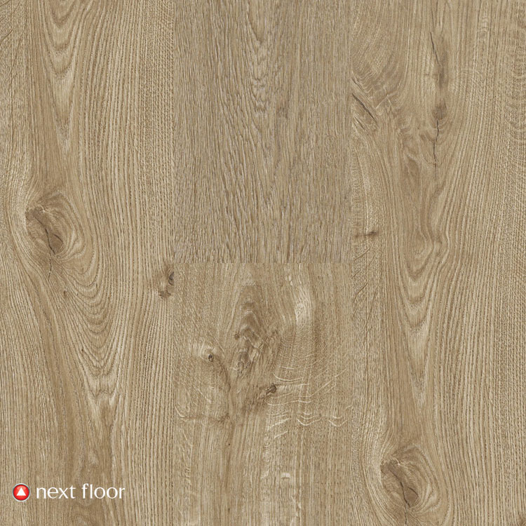 Water's Edge Collection Caramel Cloud Swatch