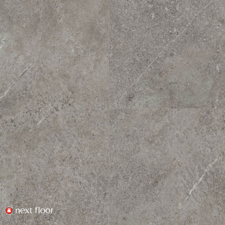 Tuscan Sandstone Collection Fossil