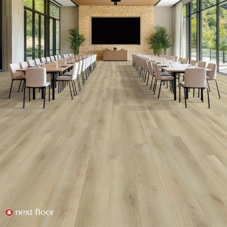 Level Best II Bare Timber Room Scene