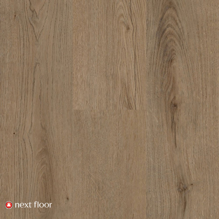 Wildwood Collection Sienna Oak