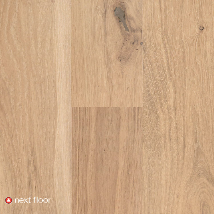 Signal Hill Collection Tan Oak
