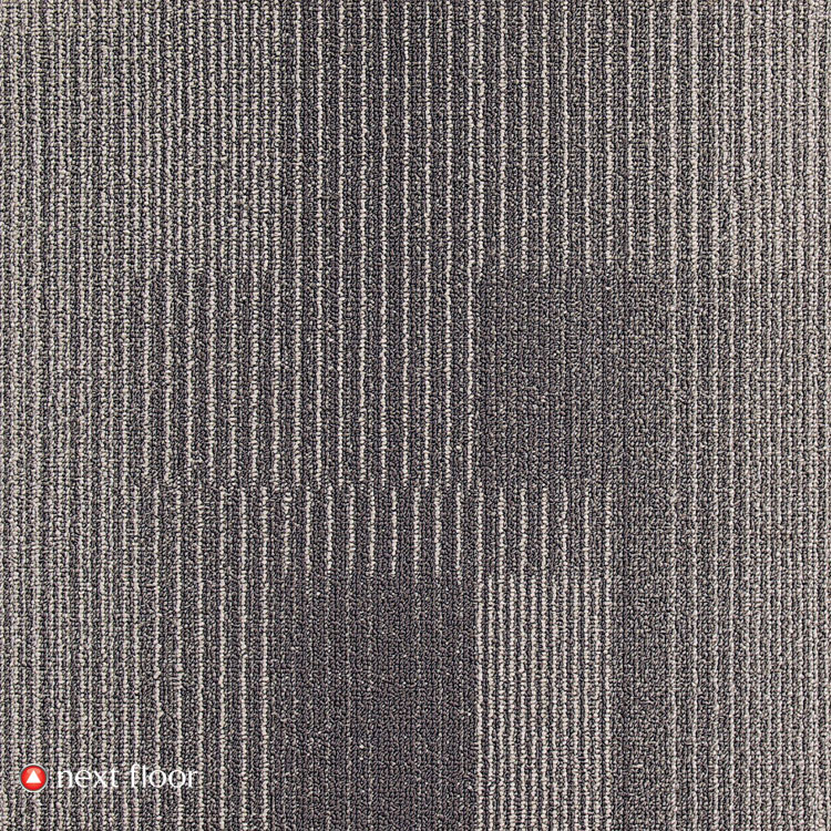 Development Collection Gunmetal