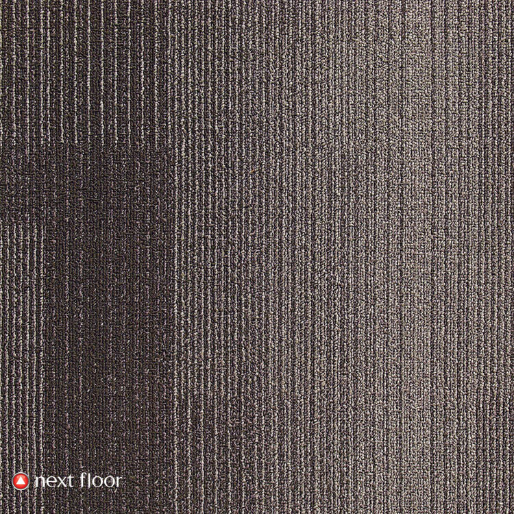Development Collection Carbon