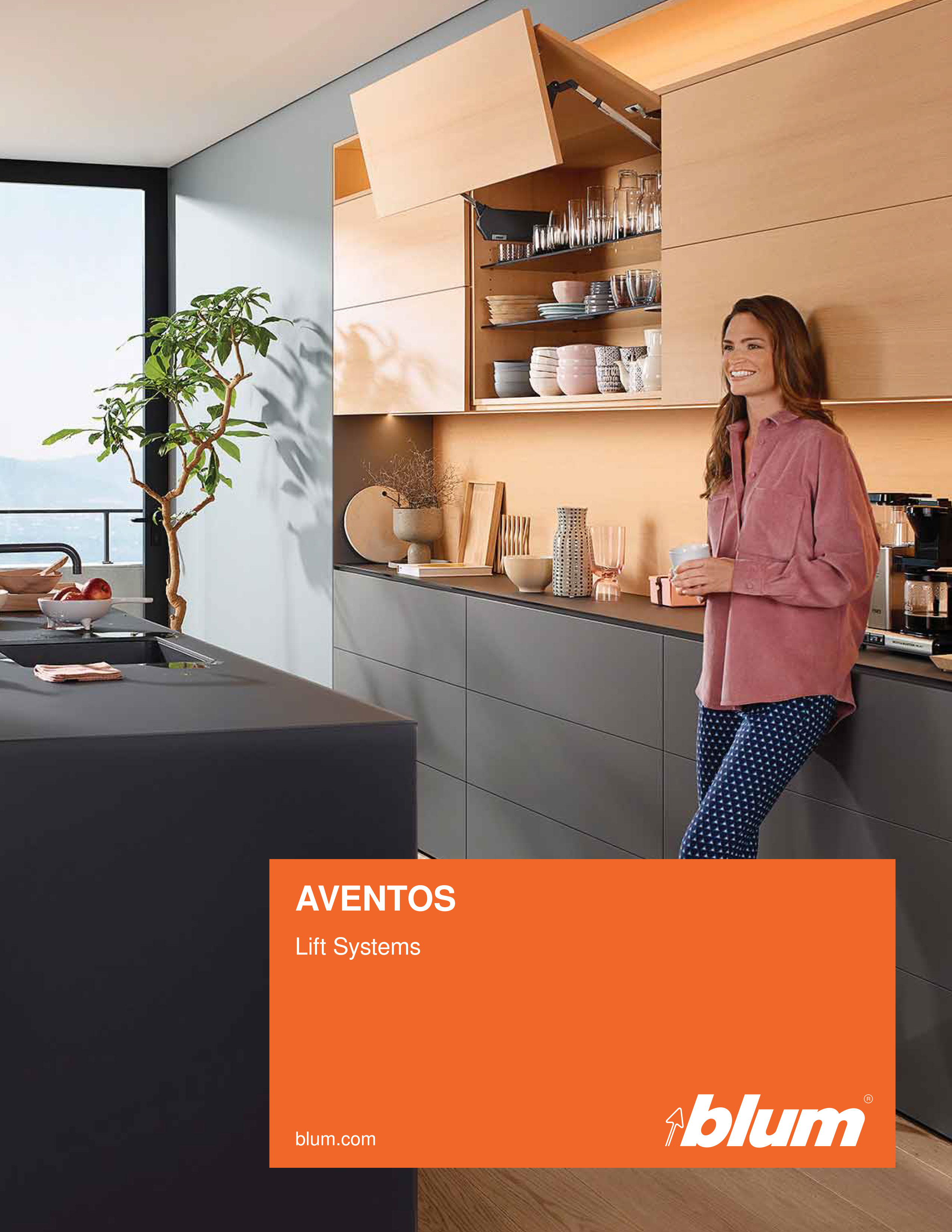2021 Blum Aventos Lift Systems