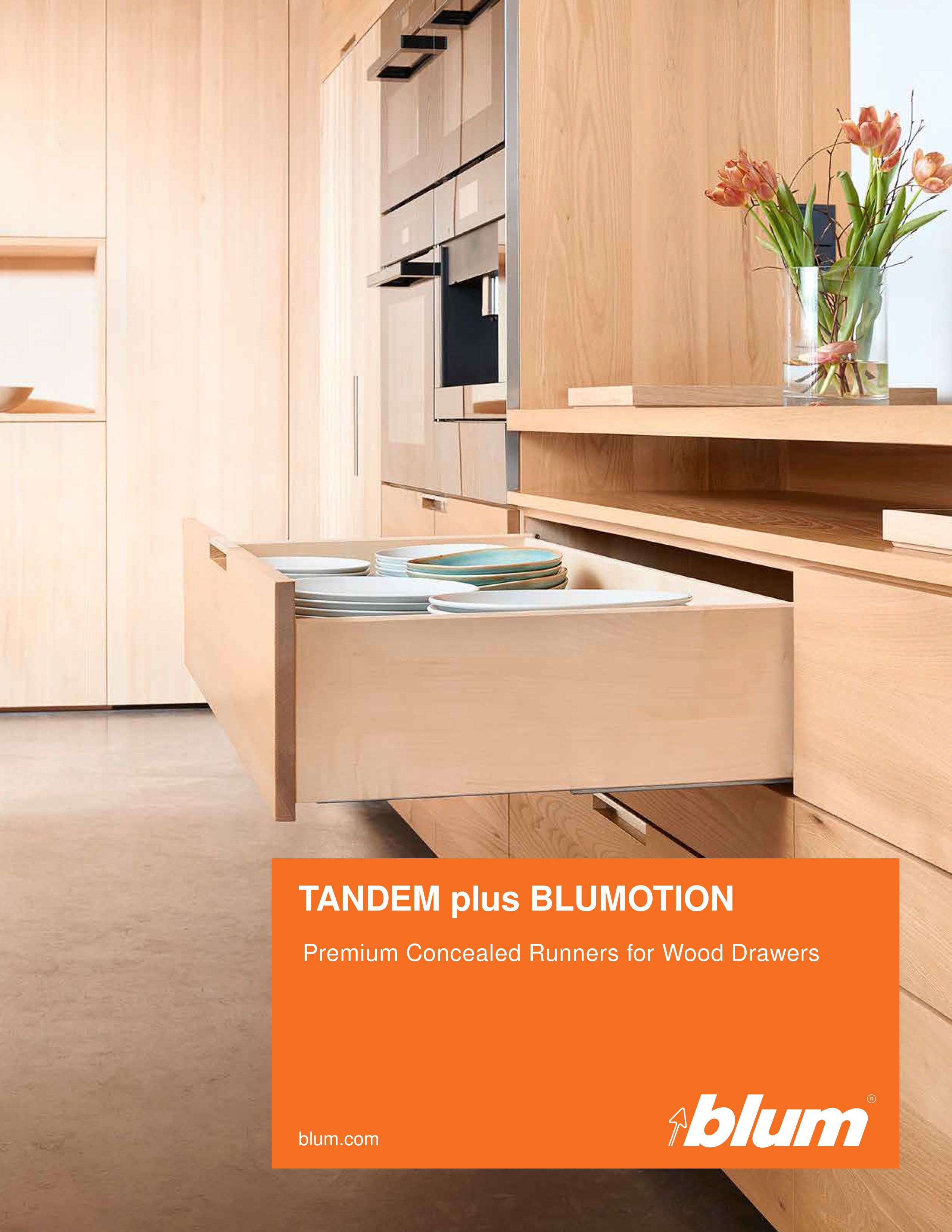 2022 Blum Tandem plus Blumotion